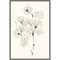 Summer Cotton IV by Chris Paschke 16-in. W x 23-in. H. Canvas Wall Art Print Framed in Grey